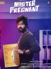 Mr Pregnant movie download in telugu